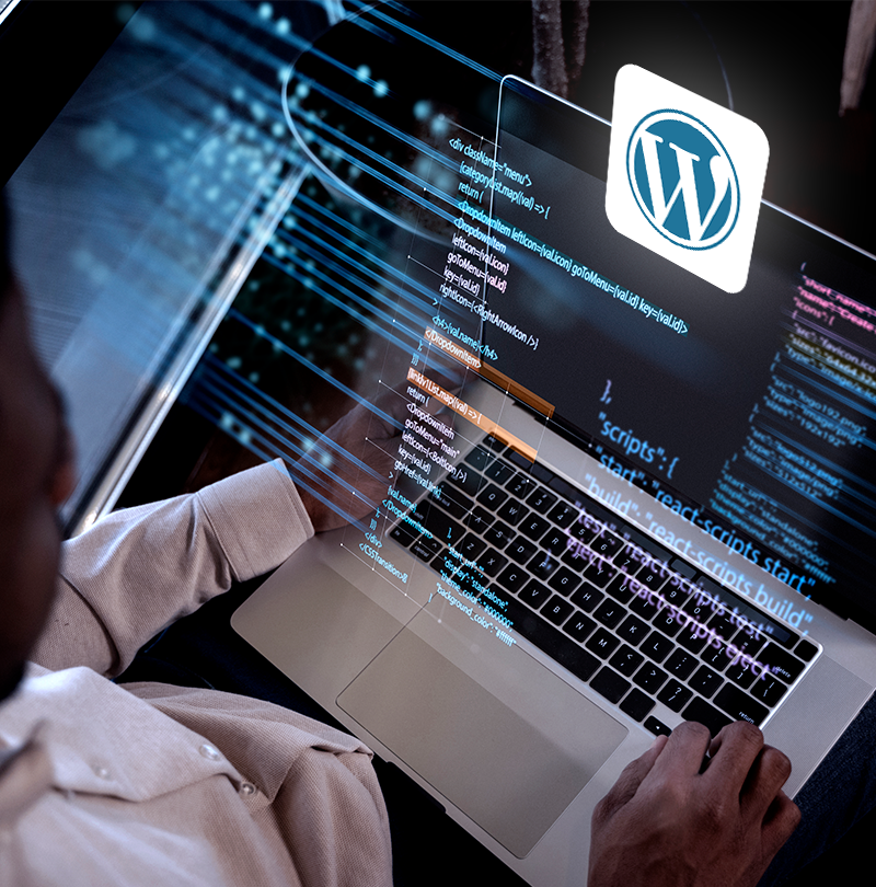 wordpress development service